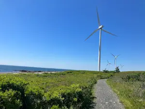 Pubnico Point Trail