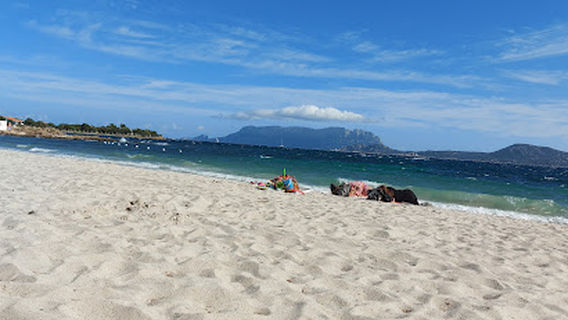 Spiaggia Lo Squalo