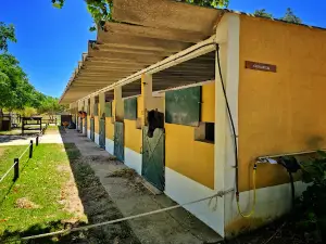 Reserva Natural do Cavalo do Sorraia