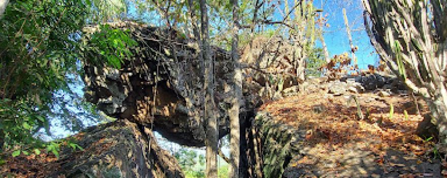 Trilha Ecológica Chapadão do Parecis