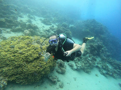 Fun Divers Diving Club