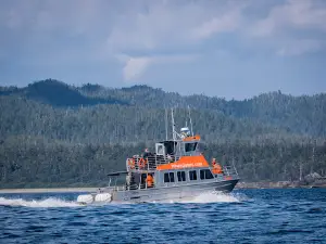 West Coast Aquatic Safaris