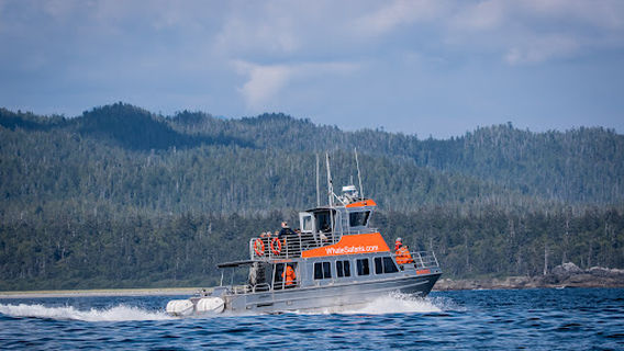 West Coast Aquatic Safaris