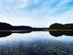Zoryanka