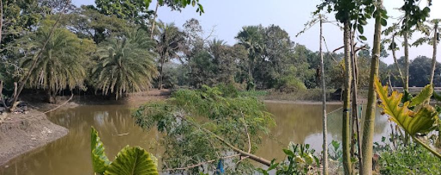 Guakhola Mahashamshan