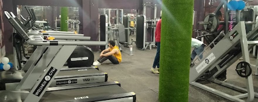 THE WELLNESS GYM CLUB