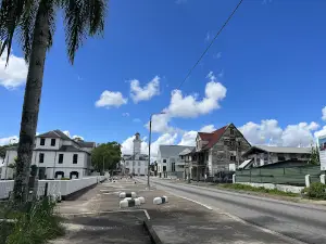 Palmtree Garden