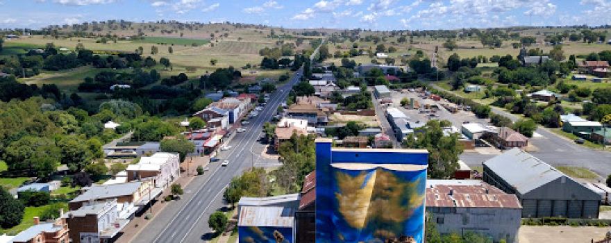 Harden Murrumburrah Silo Art by Heesco