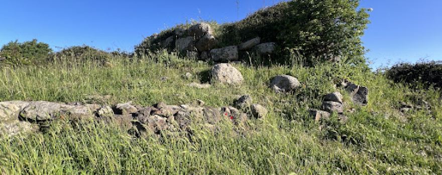 Area archeologica Sa Mandra 'e sa Giua