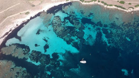 Asinara charter Escursioni