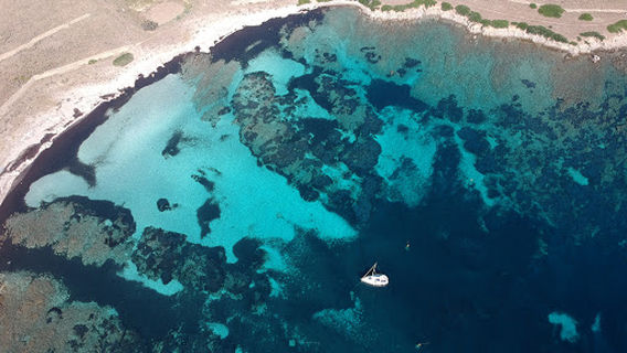 Asinara charter Escursioni