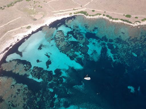 Asinara charter Escursioni