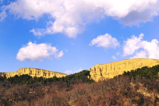 Mariamjvari Nature Reserve