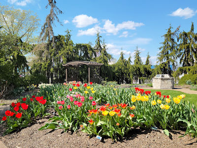 Chance Gardens