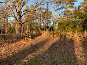 Lövö naturreservat
