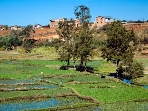 Antsirabe. Madagascar
