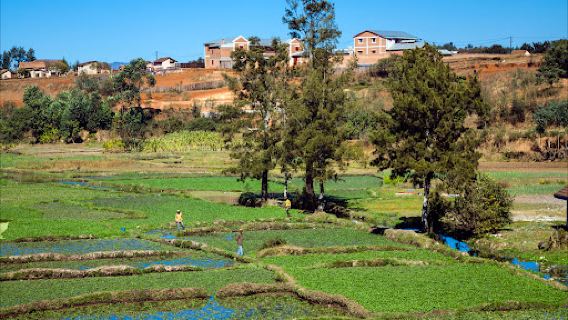 Antsirabe. Madagascar