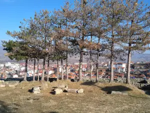 Vinica's Fortress