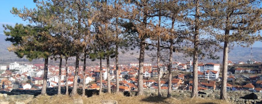 Vinica's Fortress