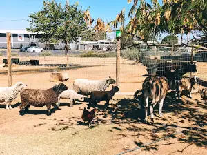 Nomads animal encounter