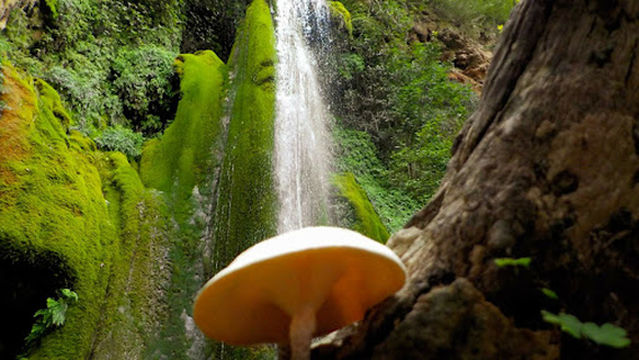 Trekking Hellas Rafting Base