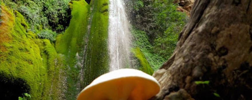 Trekking Hellas Rafting Base