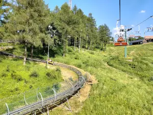 Tor saneczkowy