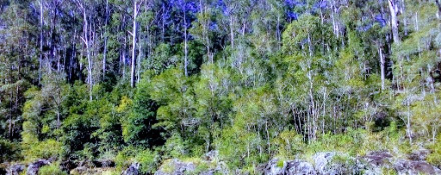 Mapleton Conservation Park