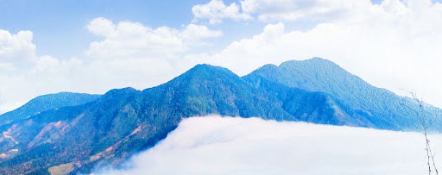 Ruộng bậc thang Tiên Nguyên