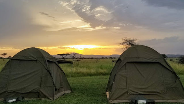 Dik Dik Public Campsite