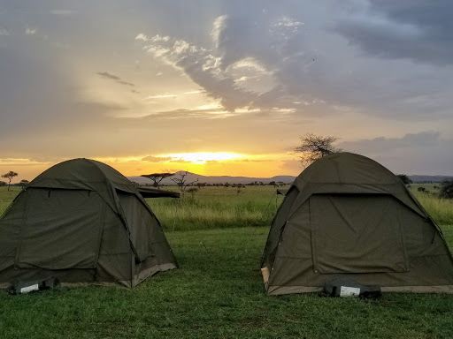 Dik Dik Public Campsite