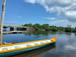 Ciénaga de la Caimanera