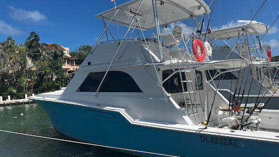 AAA Charters & Adventures – Fish Finders Riviera Maya