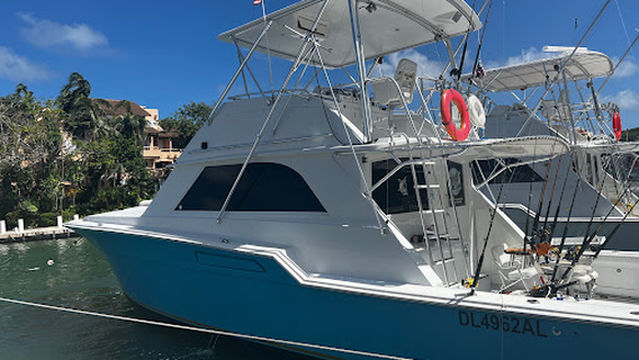AAA Charters & Adventures – Fish Finders Riviera Maya