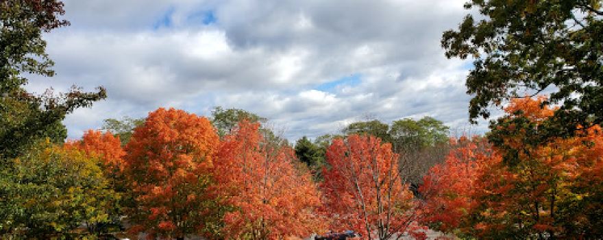 Captain Stephen Olney Memorial Park