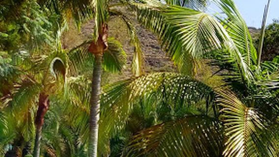 Parque Secundino Delgado