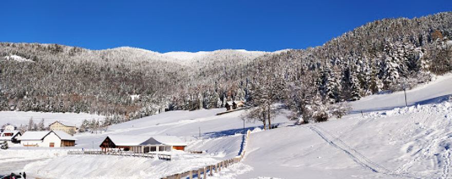 Track Luge With Ascent