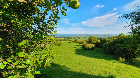 Kaikoura