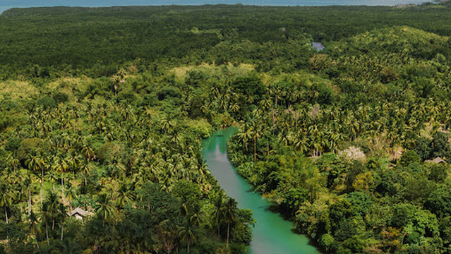 Dewil Eco Mangrove Tour