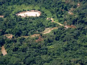 Amazonas National Forest