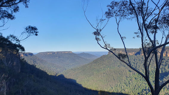East Rim and Wildflower walking tracks