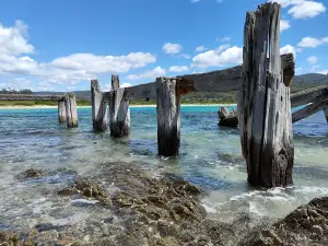 Mayfield Bay Conservation/Camping Area
