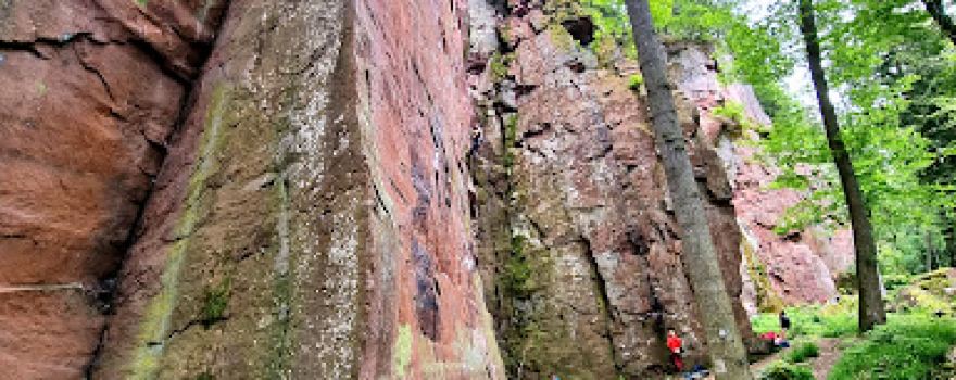 Falaise bergholtz
