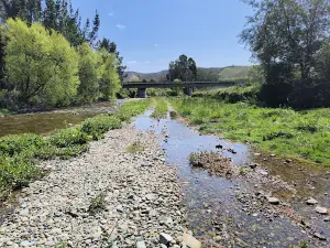 Wai-iti Reserve