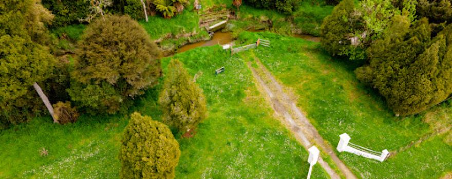 Simpsons reserve