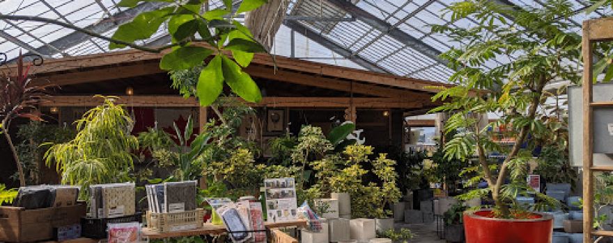 Eco Marche Onizuka