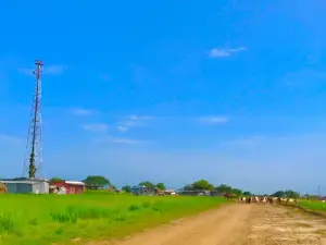 Nyumanzi Refugee Camp