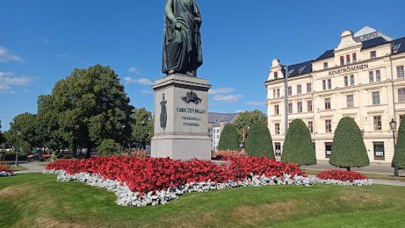 Kaktusplanteringen