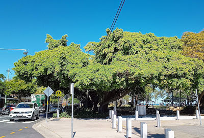 Brennan Park