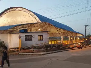 Coliseo Pijao De Oro Chaparral